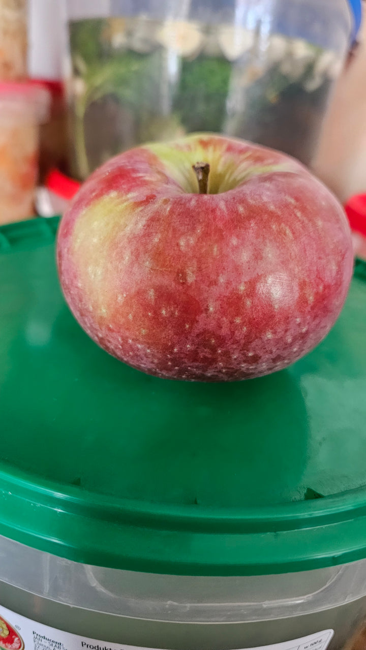 Jabłko Lobo