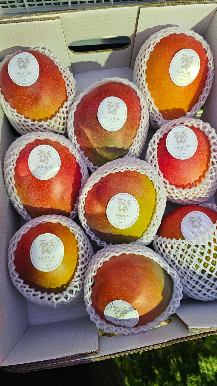 Mango LOTNICZE