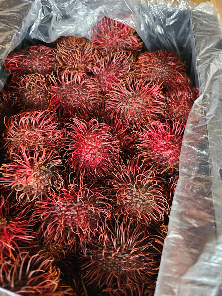 RAMBUTAN