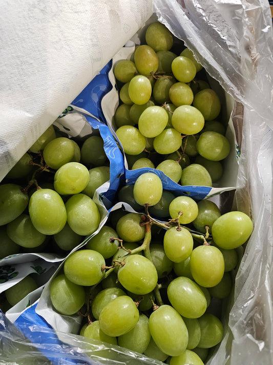 Winogrono bezpestkowe PREMIUM