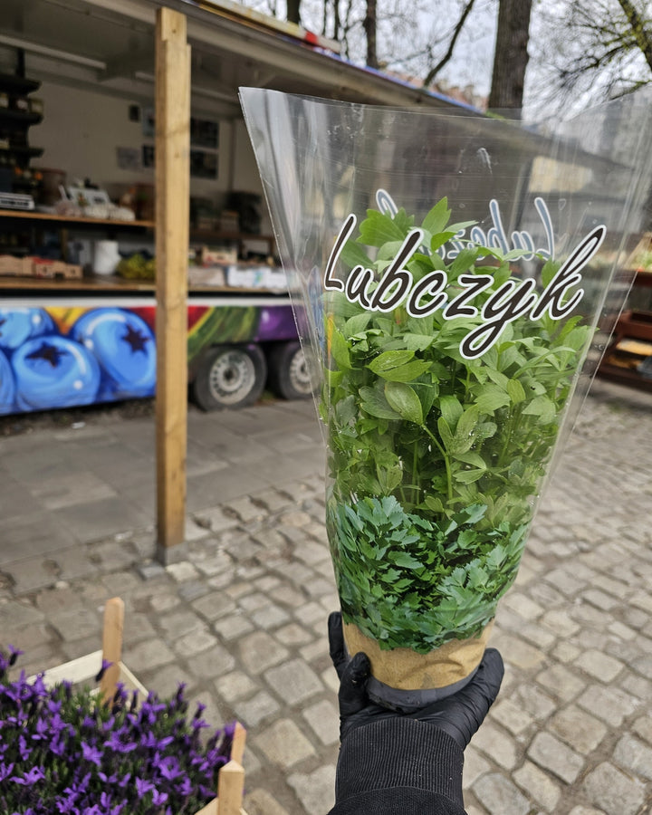 LUBCZYK
