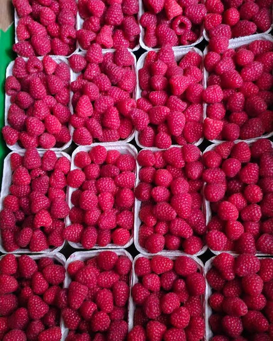 Maliny