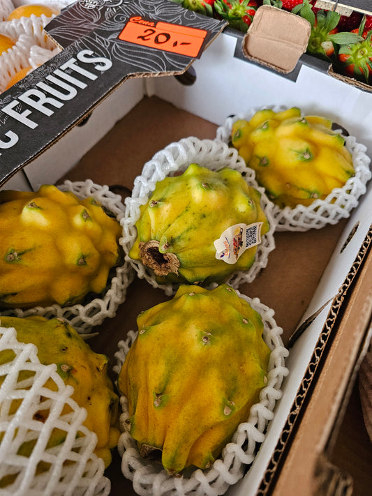 PITAHAJA żółta