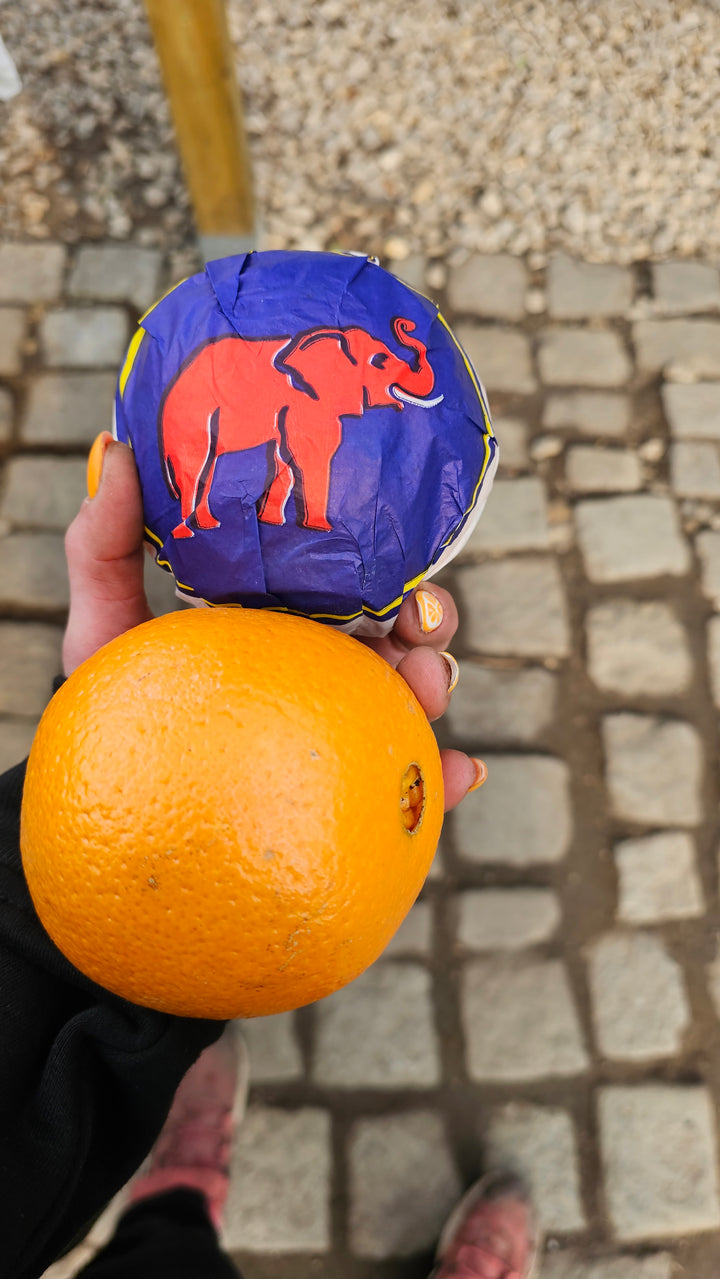 Pomarańcze elefant