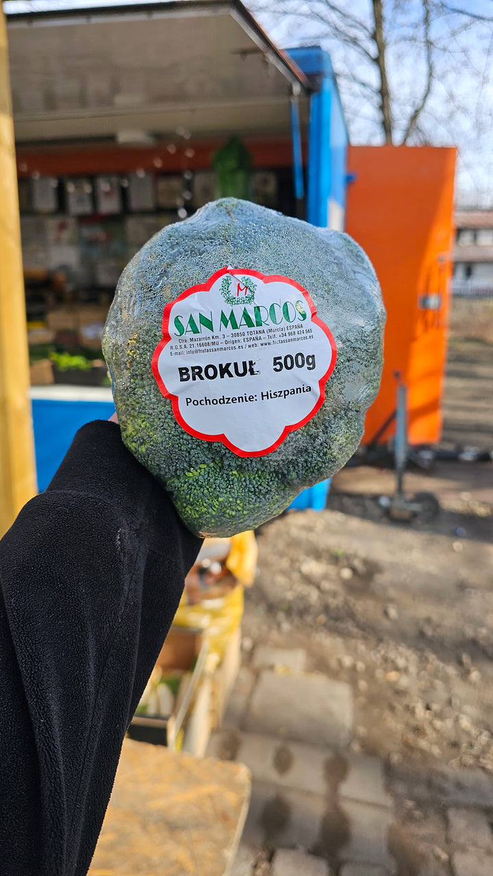 Brokuł